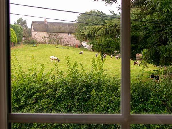 The Old Smithy Villa Bridport Eksteriør bilde